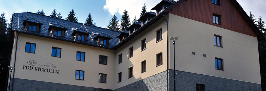 отель в Чешской Республике номера ночлеги spa wellness
